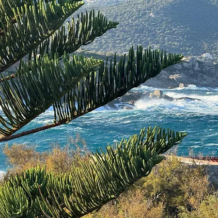 Marine De Davia Sea Access Away Swimming Pool * Corbara