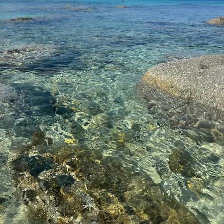 Marine De Davia Sea Access Away Swimming Pool Corbara