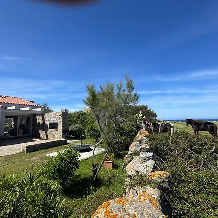 Marine De Davia Sea Access Away Swimming Pool Villa